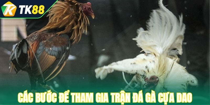 Các bước để tham gia trận đá gà cựa dao SV388