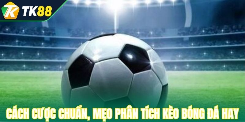 Cách cược chuẩn, mẹo phân tích kèo bóng đá hay