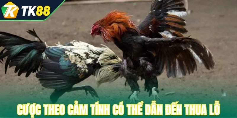 Cược theo cảm tính của bầy đàn có thể dẫn đến thua lỗ
