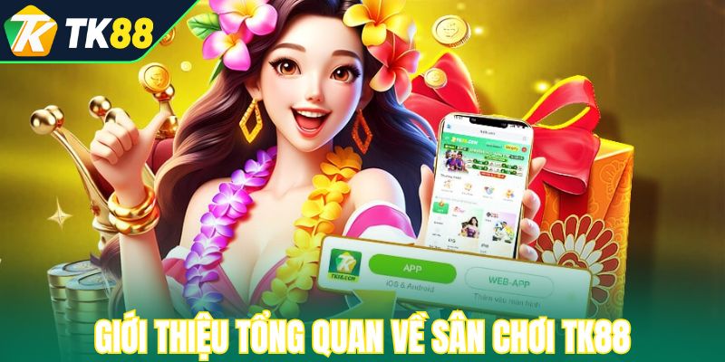 Giới thiệu tổng quan về sân chơi TK88
