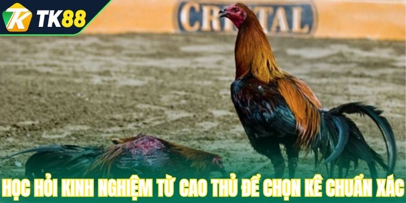 Học hỏi kinh nghiệm từ cao thủ để chọn kê chuẩn xác 