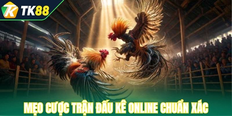 Mẹo cược trận đấu kê online chuẩn xác