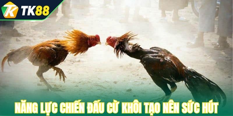 Năng lực chiến đấu cừ khôi tạo nên sức hút