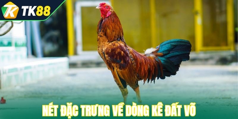 Nét đặc trưng về dòng kê đất võ