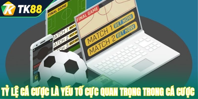 Tỷ lệ cá cược là yếu tố cực quan trọng trong cá cược 